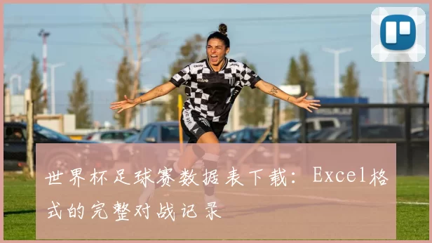 世界杯足球赛数据表下载：Excel格式的完整对战记录