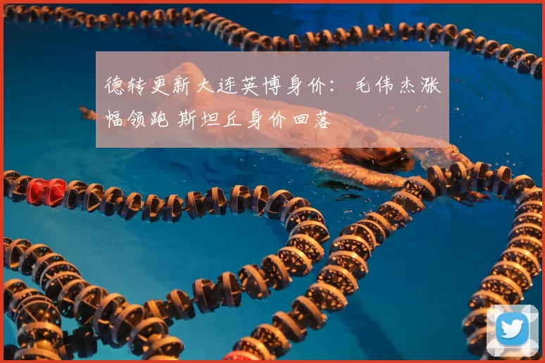 德转更新大连英博身价:毛伟杰涨幅领跑 斯坦丘身价回落