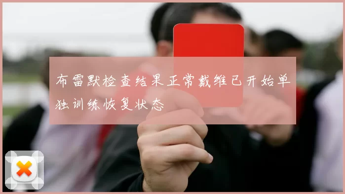 布雷默检查结果正常戴维已开始单独训练恢复状态
