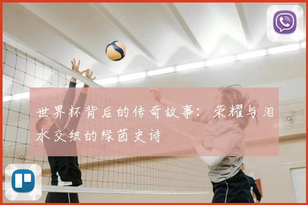 世界杯背后的传奇故事：荣耀与泪水交织的绿茵史诗