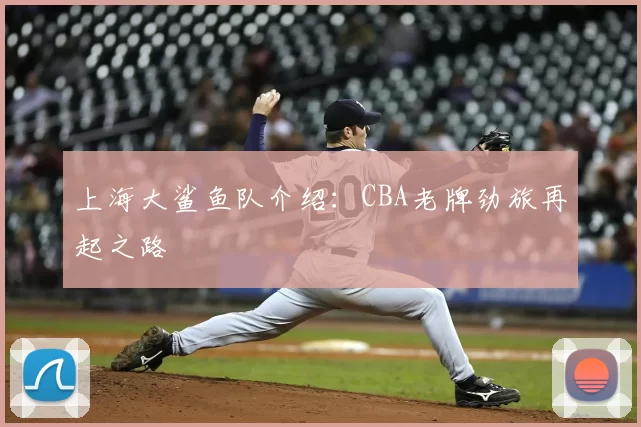 上海大鲨鱼队介绍:CBA老牌劲旅再起之路