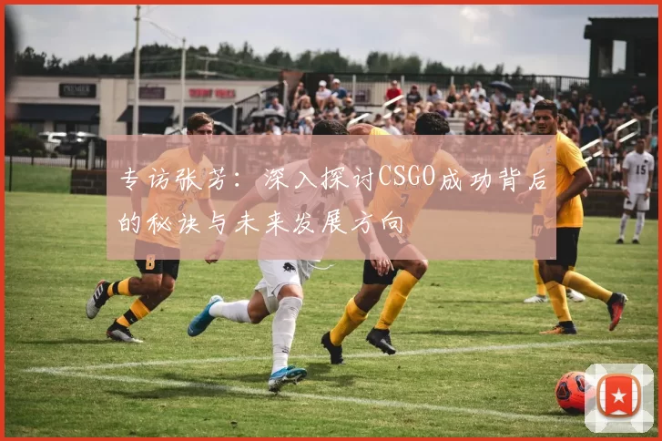 专访张芳：深入探讨CSGO成功背后的秘诀与未来发展方向