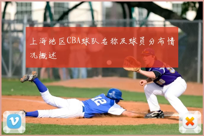 上海地区CBA球队名称及球员分布情况概述