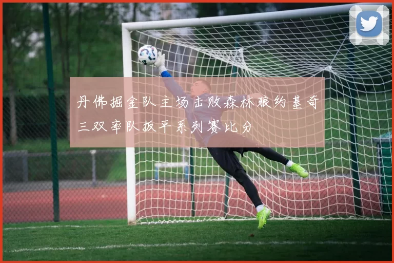 丹佛掘金队主场击败森林狼约基奇三双率队扳平系列赛比分