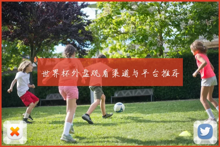 世界杯外盘观看渠道与平台推荐