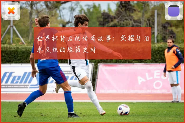 世界杯背后的传奇故事：荣耀与泪水交织的绿茵史诗
