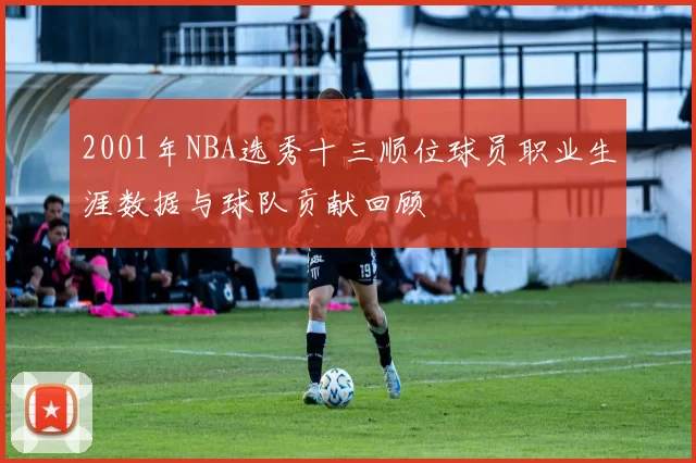 2001年NBA选秀十三顺位球员职业生涯数据与球队贡献回顾
