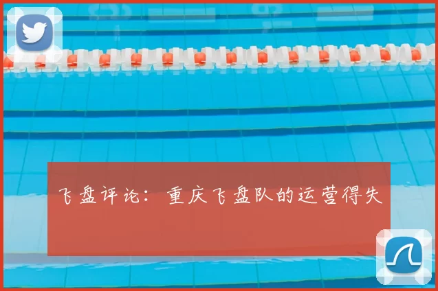 飞盘评论:重庆飞盘队的运营得失