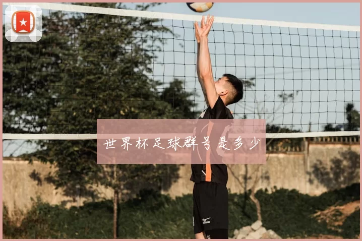 世界杯足球群号是多少